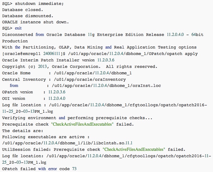 Oracle Patch 补丁体系和如何打补丁 Oracle Patch 补丁体系和如何打补丁
