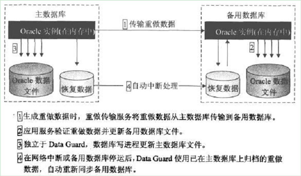 Oracle Data Guard 的配置