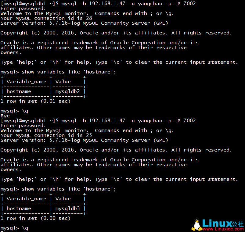 MySQL 主从复制配置 + MySQL Router 部署使用测试