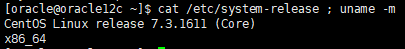 CentOS 7.2 使用 Shell 安装 Oracle 12c