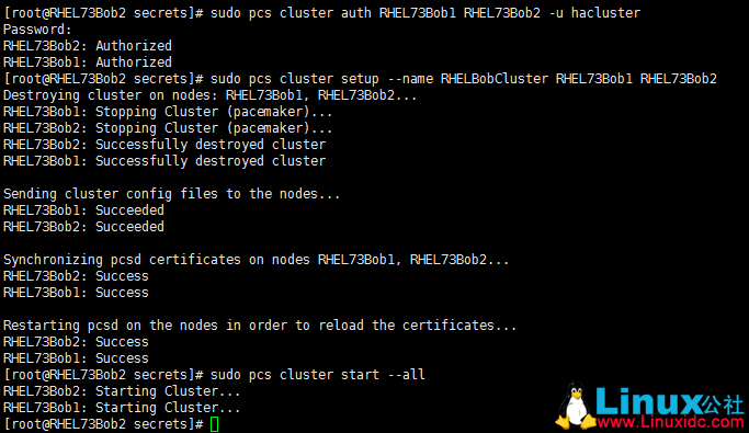 Red Hat Enterprise Linux 上为 SQL Server 配置共享磁盘集群