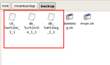 异机 RMAN 数据不完全恢复