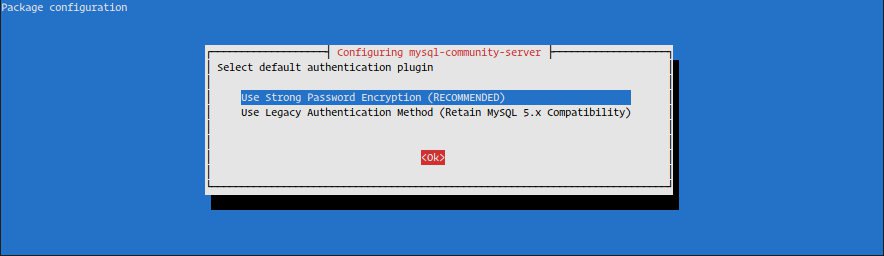 如何在 Debian 10 Linux 上安装 MySQL