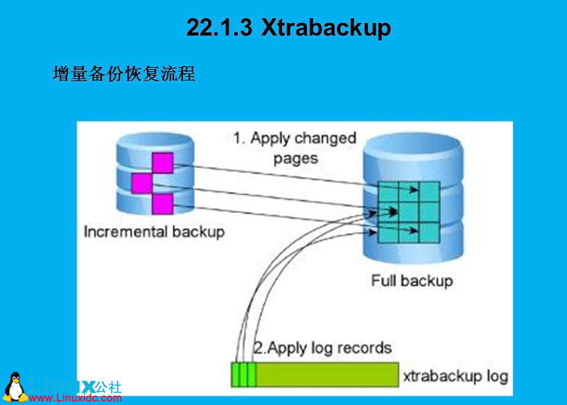 XtraBackup 备份原理和实战详解