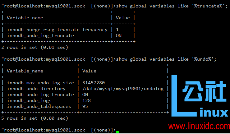 独立 undo 表空间在线回收 独立 undo 表空间在线回收