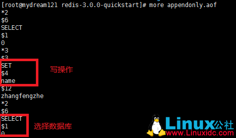 Redis 高级特性介绍及实例分析