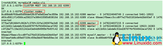 Redis 集群单机版搭建
