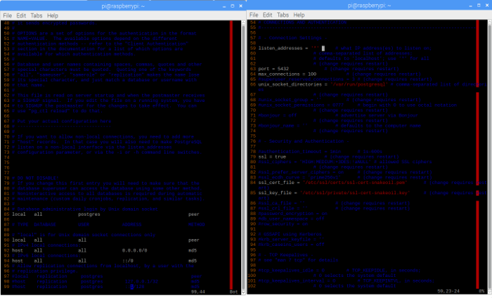 怎么在一台树莓派上安装 Postgres 数据库