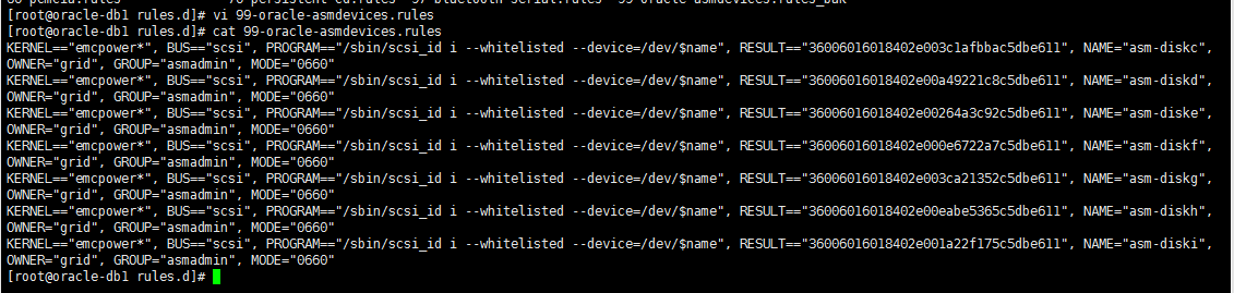 Linux6.6 及以上版本配置 Oracle ASM 共享储存 -UDEV