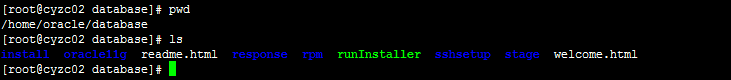 Linux 安装 Oracle 11g R2 Linux 安装 Oracle 11g R2