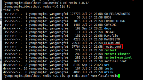 拷贝 redis.conf 文件