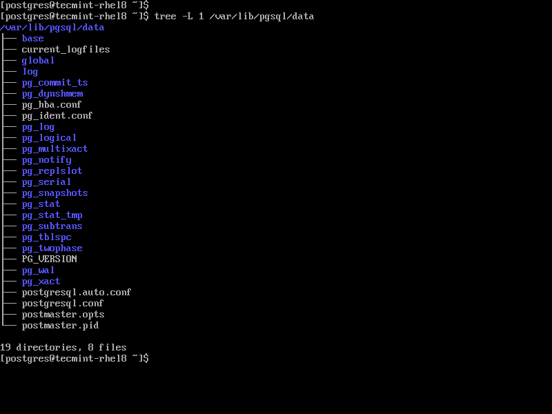 如何在 RHEL 8 中安装 PostgreSQL