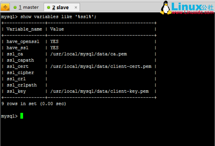 CentOS 7.2 下 MySQL5.7.13 安装和基于 SSL 加密的主从复制
