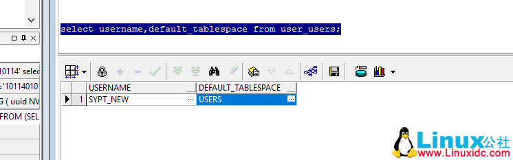 Oracle 导入数据报 600 错误