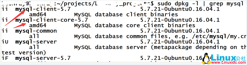Ubuntu 重新安装 MySQL 错误解决
