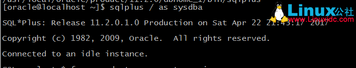 Linux 上 Oracle 11g 单实例安装详解