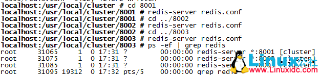 SUSE Linux 11 下 Redis 环境搭建