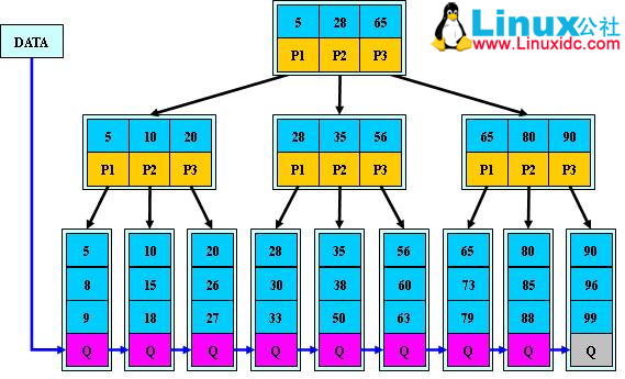 MySQL 中索引和优化的用法总结 MySQL 中索引和优化的用法总结