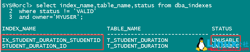 ORA-20000 无效索引故障解决方案 ORA-20000 无效索引故障解决方案