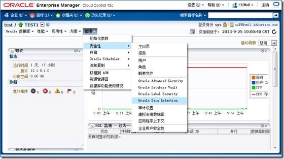 Oracle Database 12c Data Redaction 介绍