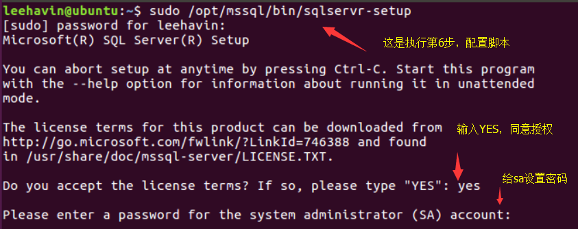 MSSQL Server on Linux - Linux 下安装测试 MSSQL Server
