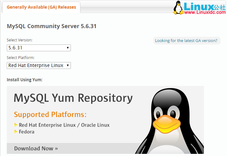 Linux 下 MySQL 的安装和启动