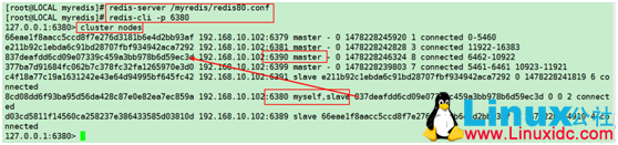 Redis 集群单机版搭建
