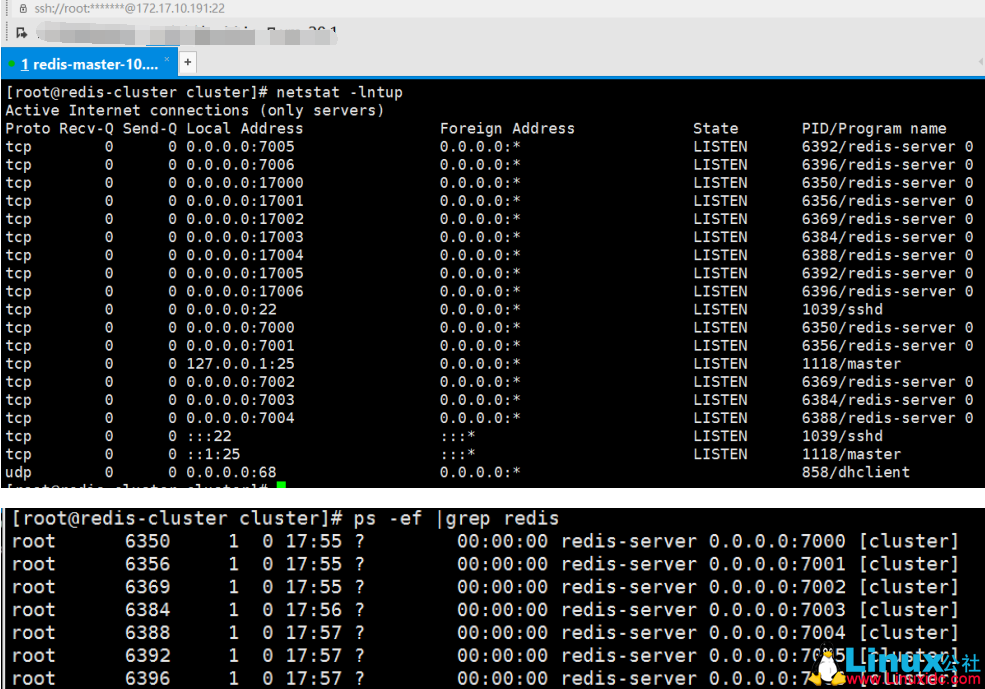 Redis 3.2 主从复制与集群搭建