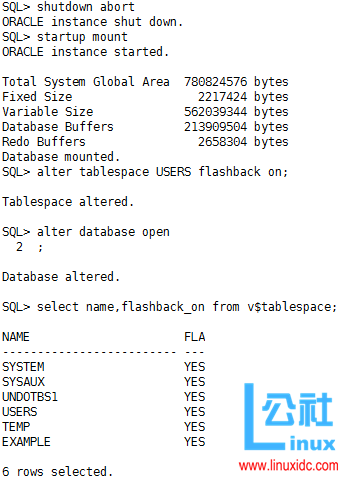 Oracle 闪回技术之闪回数据库
