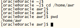 Oracle 11gR2 AWR 报告生成