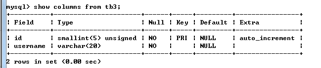 在 MySQL 数据库中创建一个完整的表