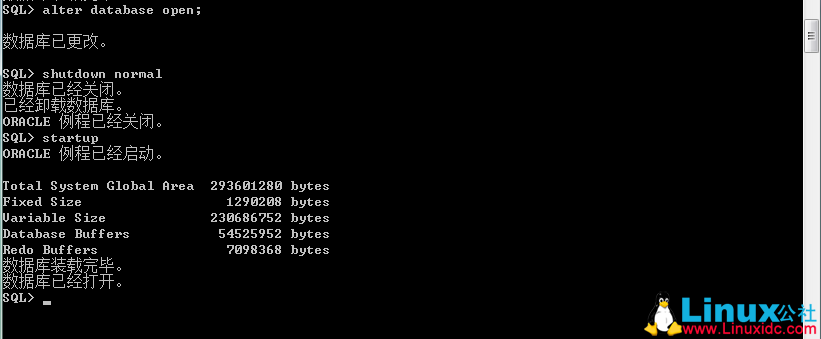 Oracle ORA-01033: ORACLE initialization or shutdown in progress 错误解决办法