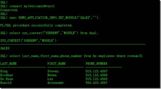 Oracle Database 12c Data Redaction 介绍