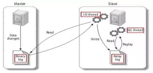 MySQL 复制介绍及搭建