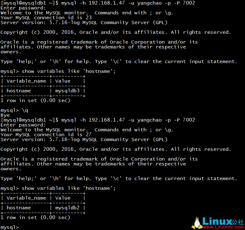 MySQL 主从复制配置 + MySQL Router 部署使用测试