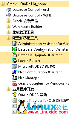 Windows 上 Oracle 安装和使用问题解决实例