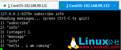 Redis 高级特性介绍及实例分析