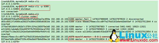 Redis 集群单机版搭建