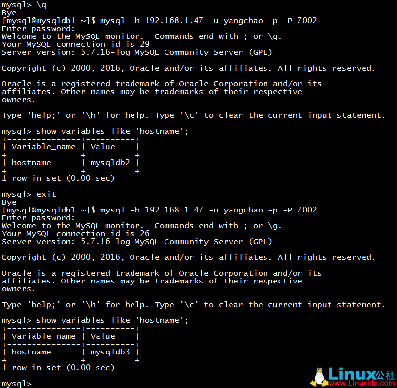 MySQL 主从复制配置 + MySQL Router 部署使用测试
