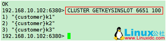 Redis 集群单机版搭建
