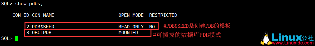 Oracle 12c 可插拔数据库深入理解