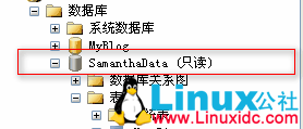 SQL Server 2005 附加数据库为只读的解决方法