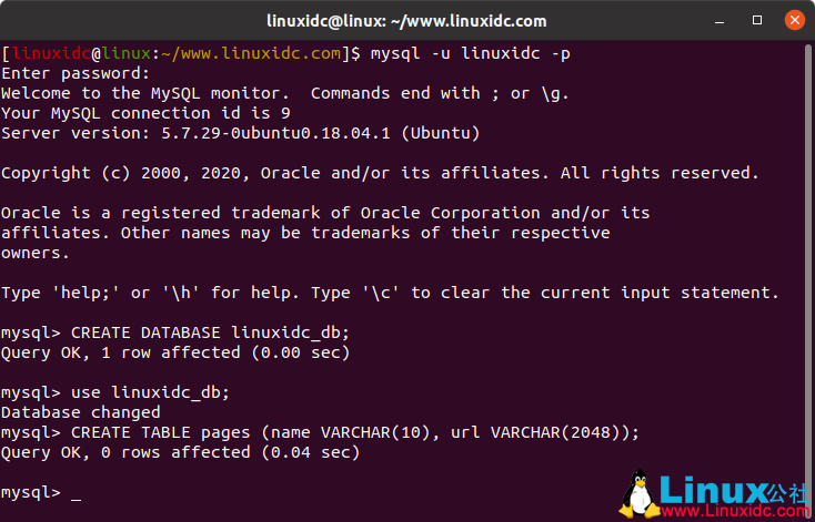 Ubuntu 18.04.4 LTS 上安装和使用 MySQL 及忘记 root 密码的解决