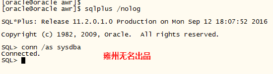 Oracle 11gR2 AWR 报告生成