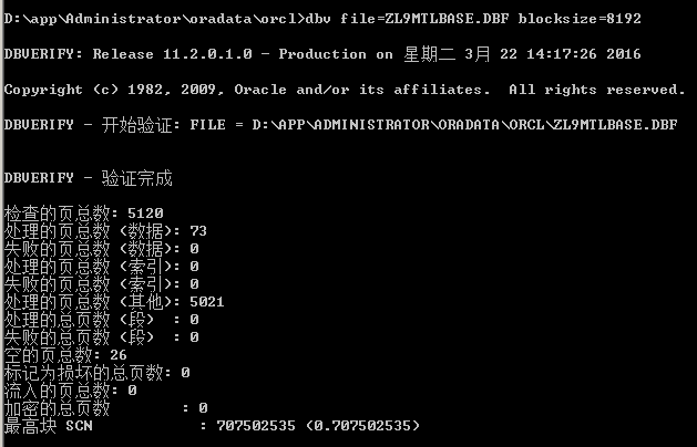 检测 Oracle 数据库坏块的方法
