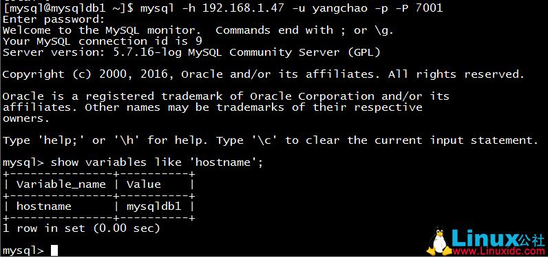 MySQL 主从复制配置 + MySQL Router 部署使用测试