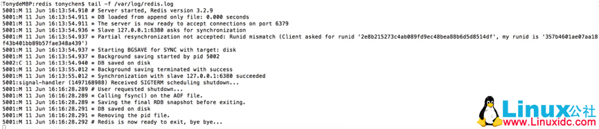 Redis 的高可用技术方案