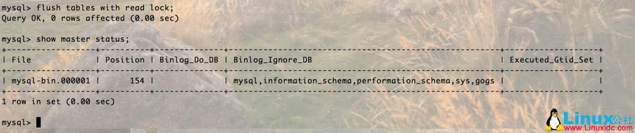 CentOS 下 MySQL 安装与主从同步配置详解