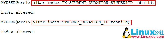 ORA-20000 无效索引故障解决方案 ORA-20000 无效索引故障解决方案