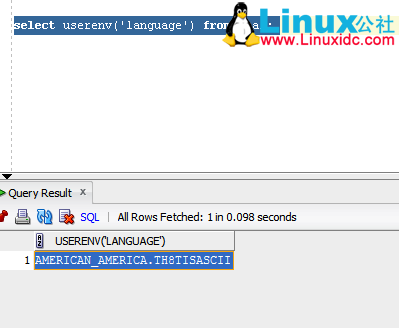 ORA-00911: invalid character 错误解决集锦 ORA-00911: invalid character 错误解决集锦